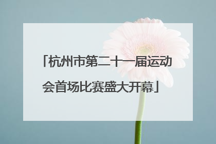 杭州市第二十一届运动会首场比赛盛大开幕