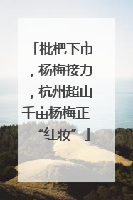 枇杷下市，杨梅接力，杭州超山千亩杨梅正“红妆”