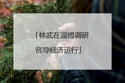 林武在淄博调研督导经济运行
