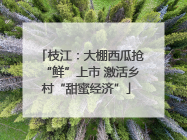 枝江：大棚西瓜抢“鲜”上市 激活乡村“甜蜜经济”