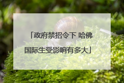 政府禁招令下 哈佛国际生受影响有多大