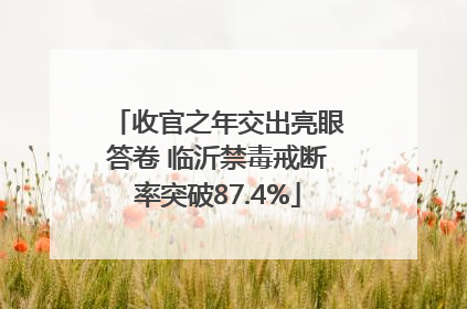 收官之年交出亮眼答卷 临沂禁毒戒断率突破87.4%