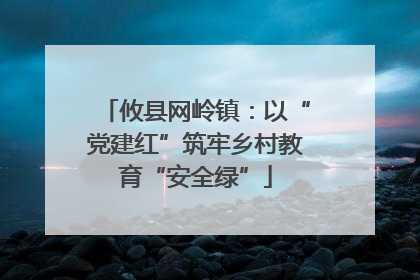 攸县网岭镇：以“党建红”筑牢乡村教育“安全绿”