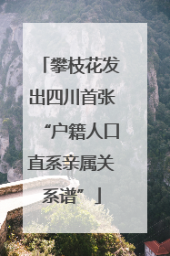 攀枝花发出四川首张“户籍人口直系亲属关系谱”