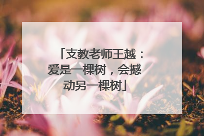 支教老师王越：爱是一棵树，会撼动另一棵树