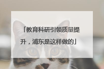 教育科研引领质量提升，浦东是这样做的