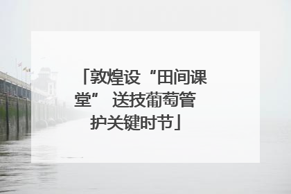 敦煌设“田间课堂” 送技葡萄管护关键时节