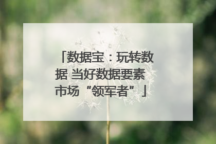 数据宝：玩转数据 当好数据要素市场“领军者”