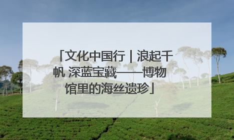 文化中国行｜浪起千帆 深蓝宝藏——博物馆里的海丝遗珍