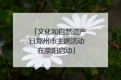 文化和自然遗产日郑州市主题活动在荥阳启动