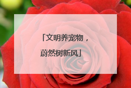 文明养宠物，蔚然树新风