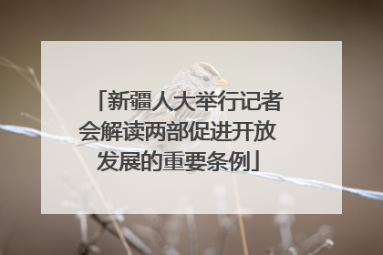 新疆人大举行记者会解读两部促进开放发展的重要条例