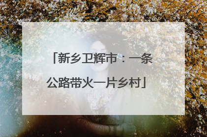 新乡卫辉市：一条公路带火一片乡村