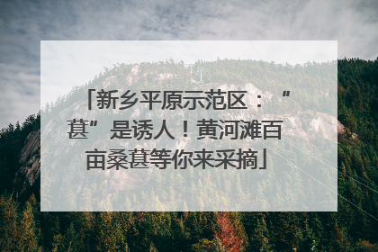 新乡平原示范区：“葚”是诱人！黄河滩百亩桑葚等你来采摘
