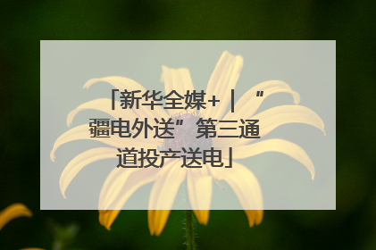 新华全媒+｜“疆电外送”第三通道投产送电