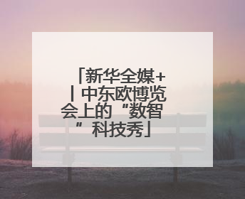 新华全媒+丨中东欧博览会上的“数智”科技秀