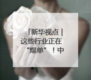 新华视点｜这些行业正在“爆单”！中国经济活力密码