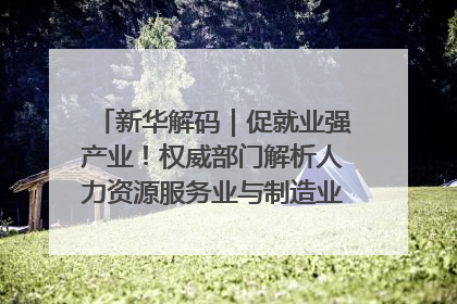 新华解码｜促就业强产业！权威部门解析人力资源服务业与制造业融合发展试点