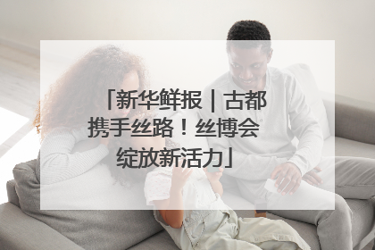 新华鲜报｜古都携手丝路！丝博会绽放新活力
