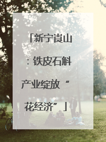新宁崀山：铁皮石斛产业绽放“花经济”