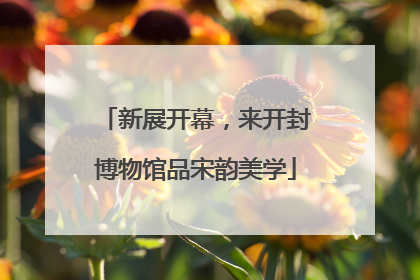 新展开幕，来开封博物馆品宋韵美学