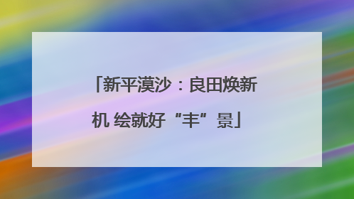新平漠沙：良田焕新机 绘就好“丰”景
