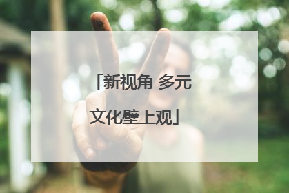 新视角 多元文化壁上观