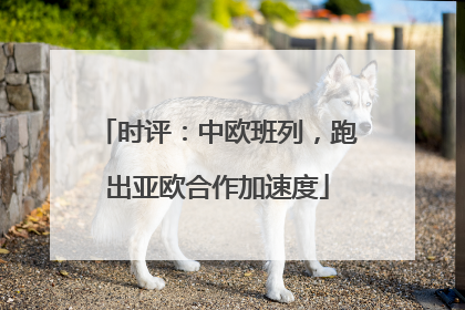 时评：中欧班列，跑出亚欧合作加速度