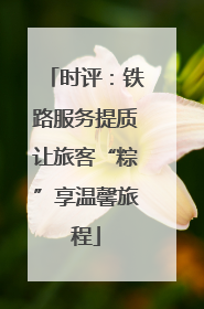 时评：铁路服务提质让旅客“粽”享温馨旅程