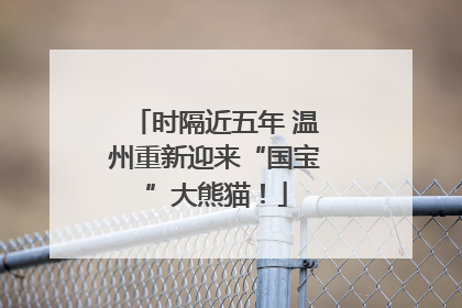 时隔近五年 温州重新迎来“国宝”大熊猫！