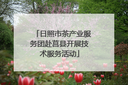 日照市茶产业服务团赴莒县开展技术服务活动
