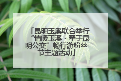 昆明玉溪联合举行“情暖玉溪・牵手昆明公交”畅行游粉丝节主题活动