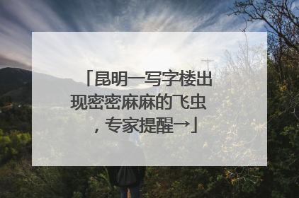昆明一写字楼出现密密麻麻的飞虫，专家提醒→