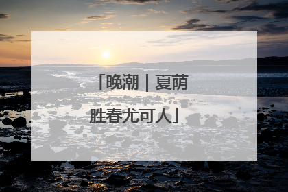 晚潮｜夏荫胜春尤可人
