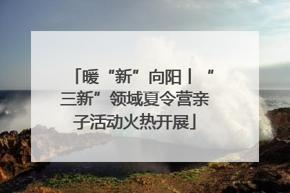 暖“新”向阳丨“三新”领域夏令营亲子活动火热开展