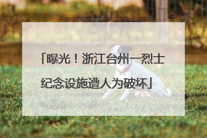 曝光！浙江台州一烈士纪念设施遭人为破坏