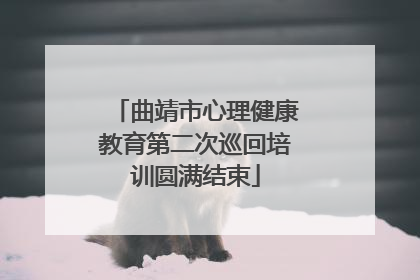 曲靖市心理健康教育第二次巡回培训圆满结束