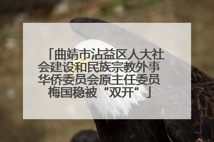 曲靖市沾益区人大社会建设和民族宗教外事华侨委员会原主任委员梅国稳被“双开”