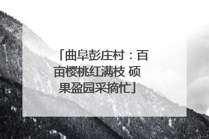 曲阜彭庄村：百亩樱桃红满枝 硕果盈园采摘忙
