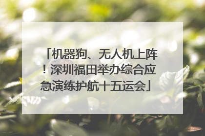 机器狗、无人机上阵！深圳福田举办综合应急演练护航十五运会