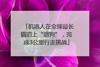 机器人在全球最长猫道上“遛狗”，完成3公里行走挑战