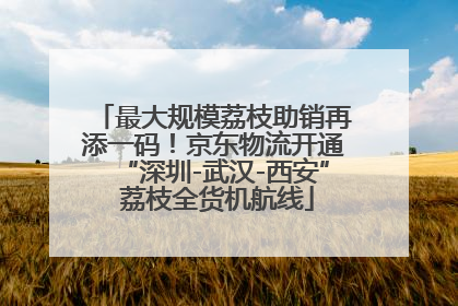 最大规模荔枝助销再添一码！京东物流开通“深圳-武汉-西安” 荔枝全货机航线