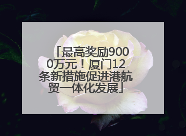 最高奖励9000万元！厦门12条新措施促进港航贸一体化发展