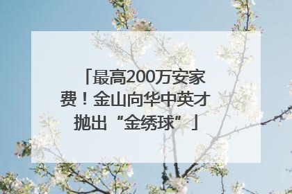 最高200万安家费！金山向华中英才抛出“金绣球”