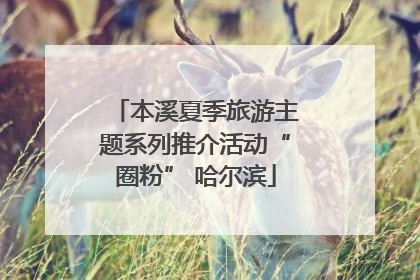 本溪夏季旅游主题系列推介活动“圈粉” 哈尔滨