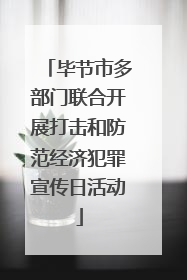 毕节市多部门联合开展打击和防范经济犯罪宣传日活动