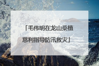 毛伟明在龙山桑植慈利指导防汛救灾