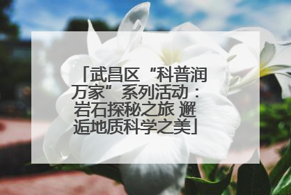 武昌区“科普润万家”系列活动：岩石探秘之旅 邂逅地质科学之美