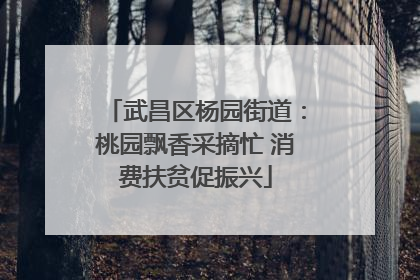武昌区杨园街道：桃园飘香采摘忙 消费扶贫促振兴