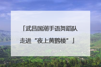 武昌国潮手语舞蹈队走进“夜上黄鹤楼”